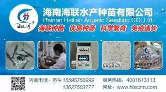 行情高漲激發養戶熱情，淡水魚功能料時代 超越噱頭的技術深耕與價值回歸